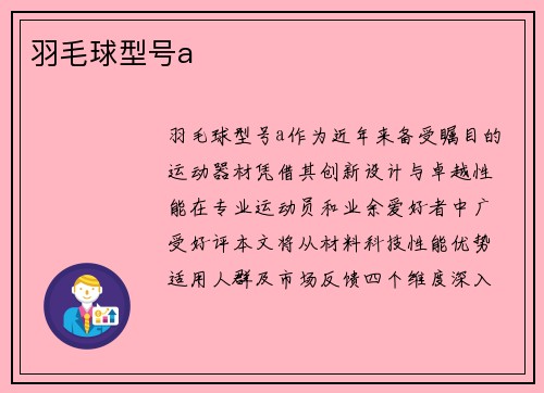 羽毛球型号a