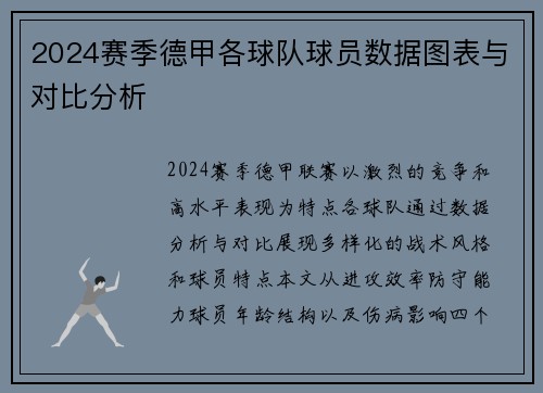 2024赛季德甲各球队球员数据图表与对比分析
